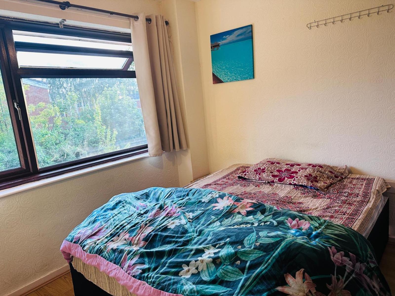 Budget - Near City Center
